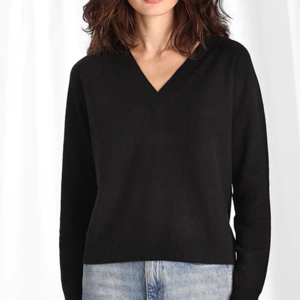 NWT Cashmere Long Sleeve Shrunken V-Neck